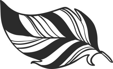 Siyah ve beyaz çizgili el yapımı tüy zarif, sanatsal bir desen oluşturuyor, doğa için ideal tasarımlar ve yaratıcı projeler.