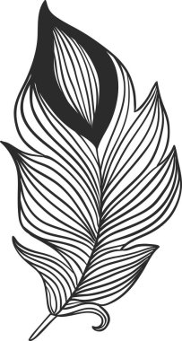 Şık siyah beyaz bir tüy çizimi, çarpıcı bir tasarım oluşturan karmaşık paralel çizgiler, moda aksanları veya dekoratif unsurlar için mükemmel.