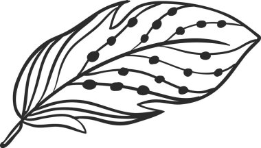 Karmaşık siyah çizgiler ve dekoratif noktalar içeren el yapımı tüy, çeşitli tasarım projeleri ve sanatsal çabaları geliştirmek için mükemmel bir şablon oluşturuyor.