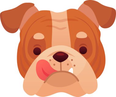Kahverengi ve beyaz İngiliz buldogu pembe dilini şakayla uzatıyor, çekici bir vektör çiziminde komik bir yüz ifadesi sergiliyor, temiz beyaz bir arka planda izole edilmiş.