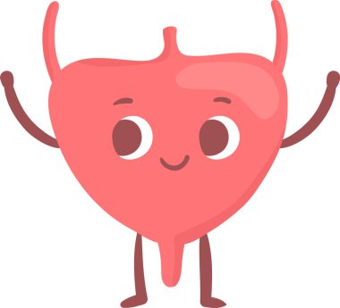 İnsan mesanesinin sağlıklı, mutlu, kollarını kaldıran ve gülümseyen, idrar sağlığı bilincini destekleyen ve düzenli kontrolleri teşvik eden bir çizgi film çizimi.