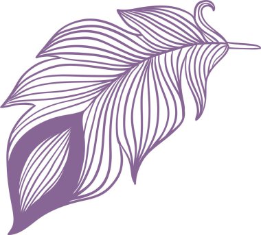 Mor tüy nazikçe süzülüyor. Karmaşık bir doku ve narin bir güzellik sergiliyor. Hafiflik ve zarafet hissi uyandırıyor, doğa için mükemmel ilham verici tasarımlar ve sanatsal eserler.