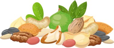 Fındık, Brezilya fındığı, fıstık, kaju, badem, macadamia fındığı ve ay çekirdeği beyaz arka planda yeşil yapraklarla renkli bir kompozisyon oluşturuyor.