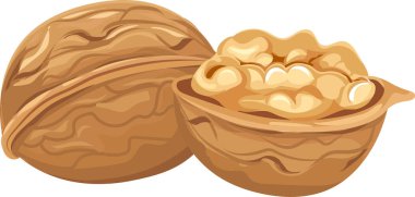 Ceviz çekirdekleri sağlıklı yağ, lif, vitamin ve mineraller bakımından zengindir, cevizi çeşitli yemeklerde besleyici ve lezzetli bir aperatif veya malzeme yapar.