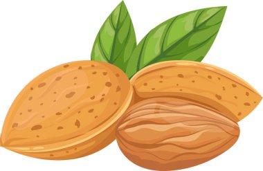 Canlı yeşil yapraklar içeren besleyici bademler, hem dış kabuğu hem de iç tohumu sergiler, sağlıklı beslenmek isteyen sağlıklı tüketicilere hitap eder.