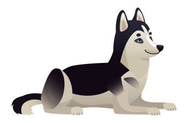 Siyah beyaz kürklü Sibirya Husky köpeğini gösteren karikatür çizimi, uzanıp sağa bakıyor, temiz beyaz bir arkaplana karşı.