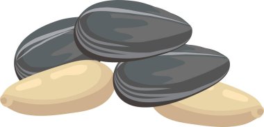 Üç ayçekirdeği ve iki çam fıstığı beyaz bir arka planda izole edilmiş küçük bir yığın oluşturuyorlar. Basit ama görsel olarak çekici bir düzenleme yapıyorlar.