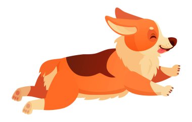 Neşeli Galli Corgi köpeği dili açık ve gözleri kapalı hızla koştu, beyaz bir arka plana karşı büyüleyici bir çizgi film tarzı neşeli bir ruh yakaladı