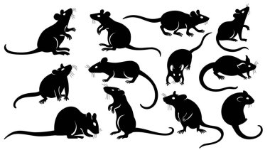 Fare silueti. Siyah fare yassı ikonlar, vahşi ve yerli kemirgen hayvan resimleri, laboratuvar hayvanı ve haşere konsepti. Vektör izole koleksiyonu.