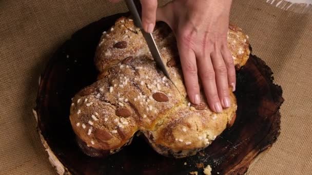 Colomba Cake Een Traditioneel Italiaans Paastoetje Chef Snijdt Easter Colomba — Stockvideo