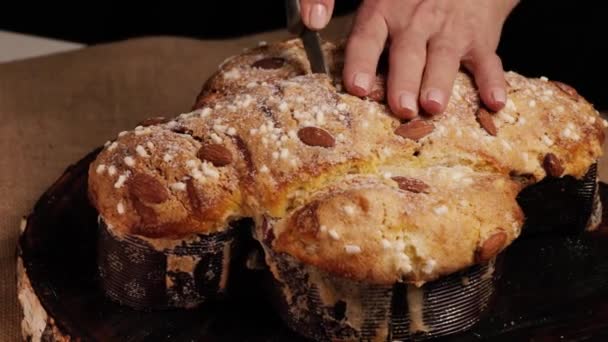 コロマバケーキはイタリアの伝統的なイースターデザートです シェフはイースターコロンバケーキをカットし 繊細でエアリーなペストリーを披露します フロントビュー — ストック動画