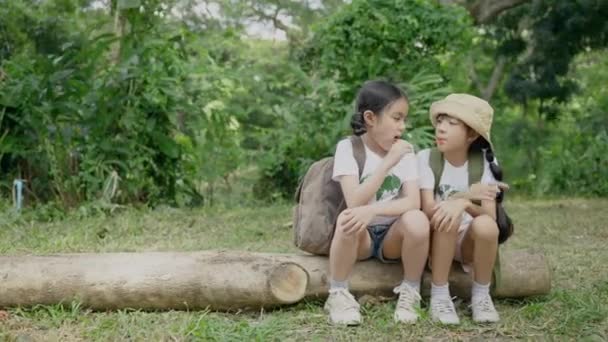 Wycieczce Podczas Przerwy Turystycznej Dzieci Siedzą Jedzą Lizaki Przyjaźń Relacje — Wideo stockowe