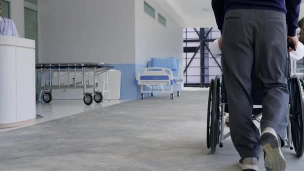Starsza Para Pchająca Wózek Inwalidzki Dla Kobiety Siedzenia Chorobie Starsza — Wideo stockowe
