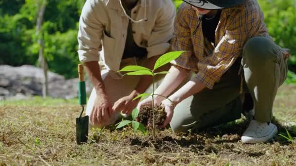 Asijští Dobrovolníci Pro Ochranu Párů Pomáhají Při Opětovném Zalesňování Chránit — Stock video