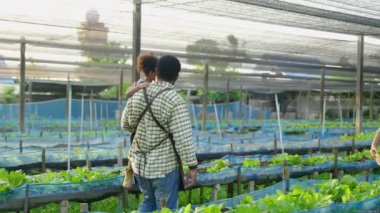 Organik sebze yetiştirme ailesi sebze bahçesinde sebze toplamaya yardım ediyor, organik gıda konsepti, aile ilişkileri