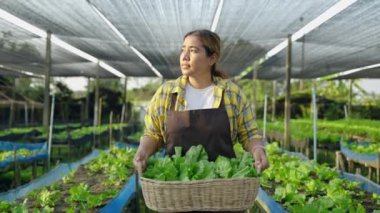 Kadın sebze bahçıvanı elinde bir sepet sebzeyle yürüyor, organik gıda konsepti.