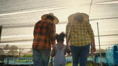 Organik sebze yetiştiren aile akşam işten sonra sebze bahçesinden el ele yürüyorlar, organik gıda konsepti, aile ilişkisi.