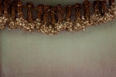 Sarımsak demetleri kurumak üzere sallanıyor. Çerçevenin tepesinden sarkan, soluk yeşil bir arka plana sarımsak saçı ile sarımsağı bir araya getirmişler. Geleneksel gıda koruma metodu, aşçılık için mükemmel..