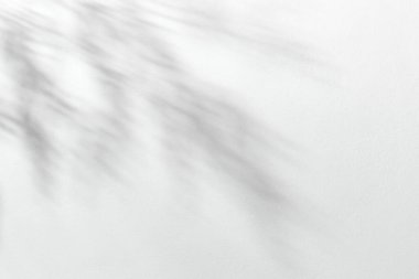 Minimalist bahar arkaplanı ve beyaz duvarda yumuşak yaprak gölgeleri. Sakin ve zarif sahne, modeller, ürün gösterimi ya da mevsimsel tasarım için mükemmel.