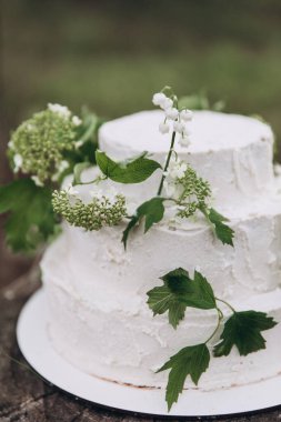 Three-tiered white wedding cake made of cream and biscuit stands on a stump in a summer forest and decorated with branches of greenery and flowers