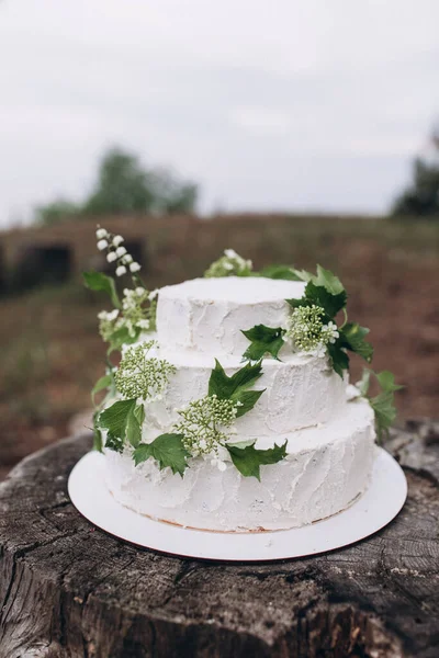 Three-tiered white wedding cake made of cream and biscuit stands on a stump in a summer forest and decorated with branches of greenery and flowers