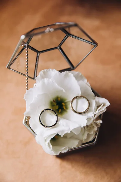 Close Shot Beautiful Wedding Rings — Stock Photo, Image