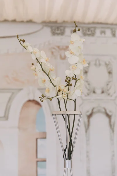 Bunga Anggrek Putih Dalam Vas Meja Pernikahan — Stok Foto