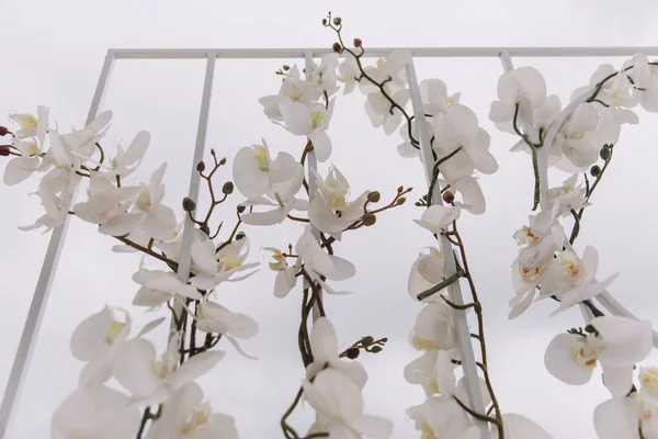 Blanco Orquídea Flores Boda Arco Sobre Hermoso Cielo Nublado Fondo Imagen De Stock