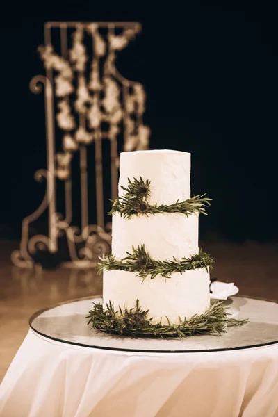 Close Shot Beautiful Wedding Cake Rosemary Branches Royalty Free Stock Photos