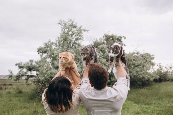 Jovem Casal Segurando Seus Três Gatos Acima Cabeça — Fotografia de Stock