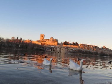 Katedral Zamora Romanesk mimari nehir ördekleri şehir turizmi ziyareti