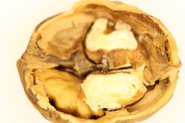 fındık tohumu sağlıklı doğal yiyecek sağlıklı kabuk