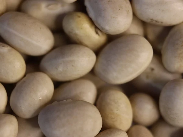 おいしい豆健康的な自然のマメ科植物が必要な背景 — ストック写真
