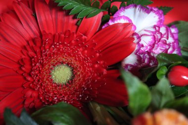 Doğal parlak renk aromalı güzel bir çiçek ustası