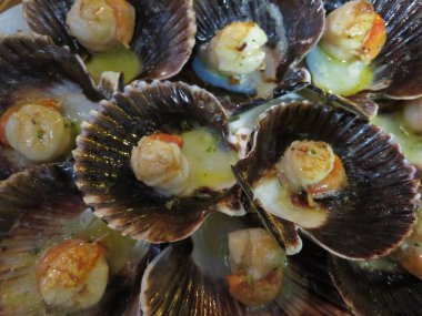 İstiridye deniz ürünleri deniz ürünleri. Lezzetli lezzetli damak tadı.