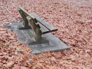 Sonbaharda park bankında yürür kuru yapraklar yere düşer soğuk hüzün