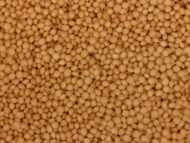 amaranth tohumu tahıl gevreği doğal besin besin sağlıklı