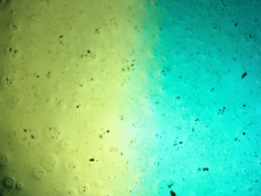 Soyut arka plan fantezi illüzyonu nadir görülen hayal gücü virüs bakteri hissi