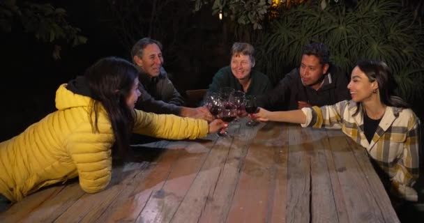 Группа Мексиканцев Кавказцев Приветствует Свой Бокал Вина — стоковое видео