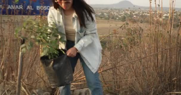 Chica Mexicana Plantando Pequeño Árbol — Vídeos de Stock