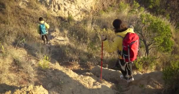 ハイキングガイドの兆候に続く2人のメキシコ人女性 — ストック動画