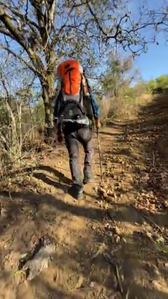 Vertical Video Young Mexican Man Hiking Mountain — Stock Video