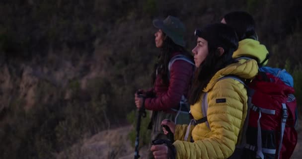 一群冒险家女徒步旅行者在山上观看风景 — 图库视频影像