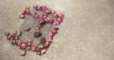 Yerdeki ölülerin Otantik Günü.