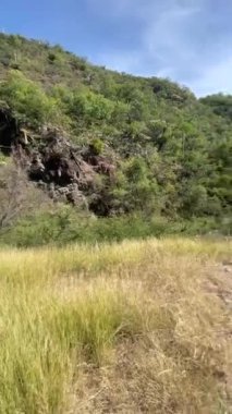 Dikey video POV kırsalda yürüyor
