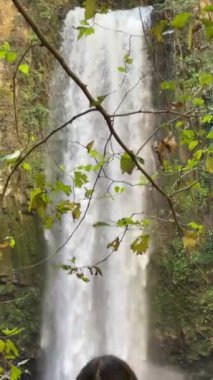 Güzel bir şelalenin önünde kızın sırtına doğru eğil.