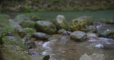 Pan ormanda kameraya gülümseyen Meksikalı bir kadına bıraktı.