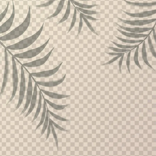 Vector Ρεαλιστική Σκιά Τριάρια Παλάμες Στον Τοίχο Διαφανές Φόντο — Διανυσματικό Αρχείο