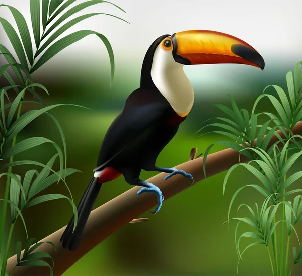 Vector Realistic Illustration Toucan Bird Jungle Forest — Stock Vector