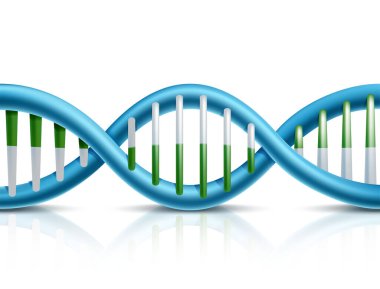 DNA 'nın 3 boyutlu gerçekçi vektör simgesi. Orta konsept ve element.